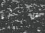 CDW010.jpg